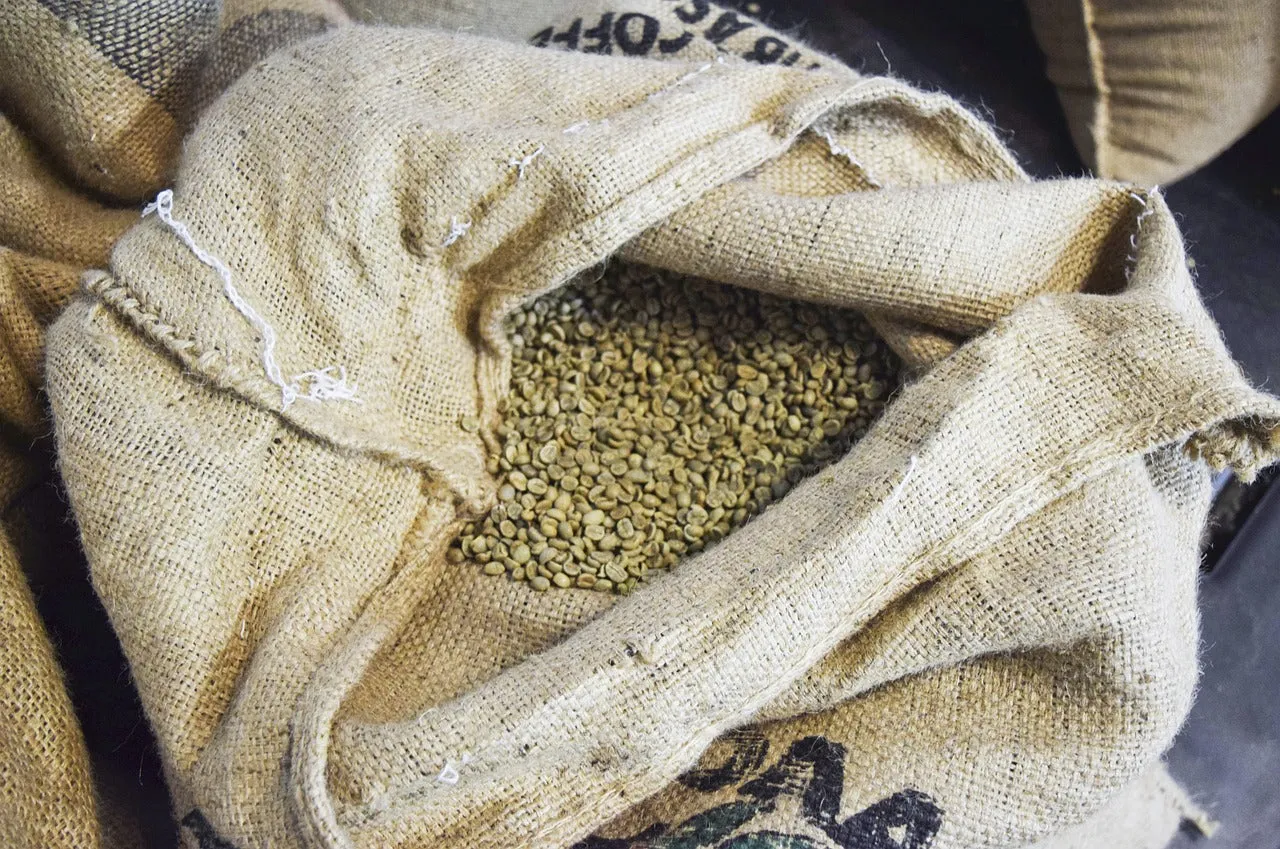Coffee processing and farming