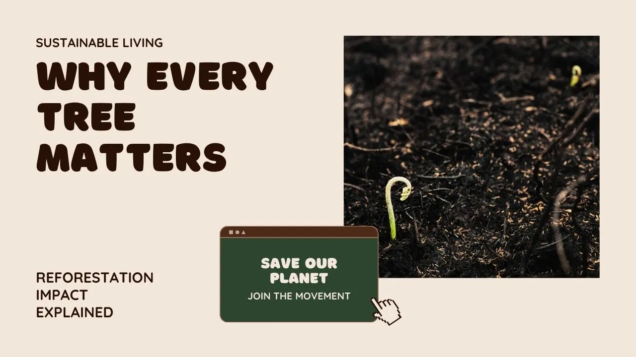 Sustainable Living: Why Every Tree Matters – The Impact of Reforestation